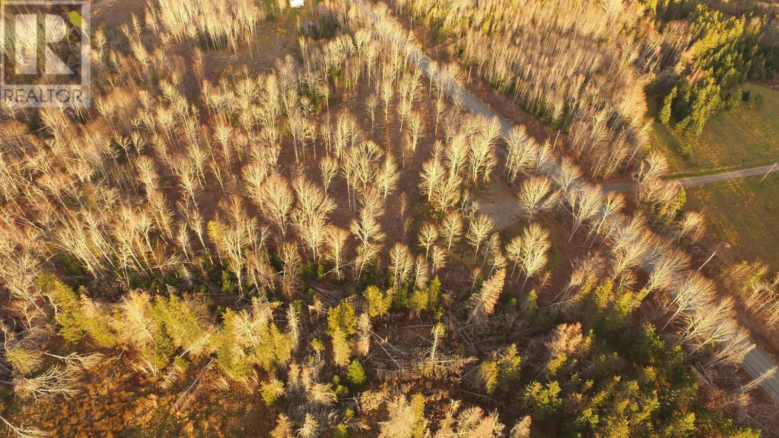 












Brookland Road

,
Brookland,







Nova Scotia
B0K1P0

