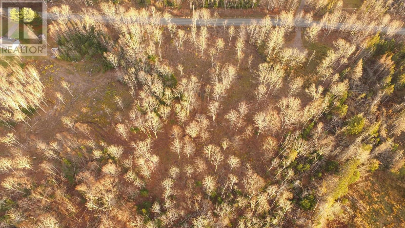 












Brookland Road

,
Brookland,







Nova Scotia
B0K1P0

