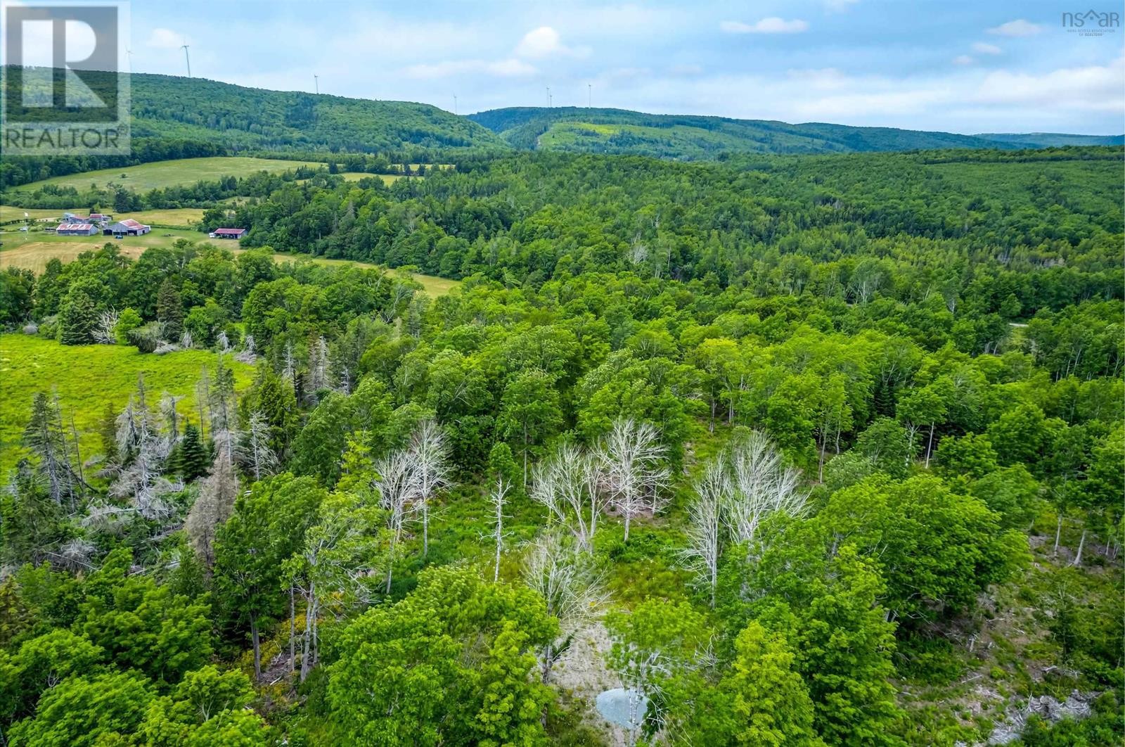 












Brookland Road

,
Brookland,







Nova Scotia
B0K1P0

