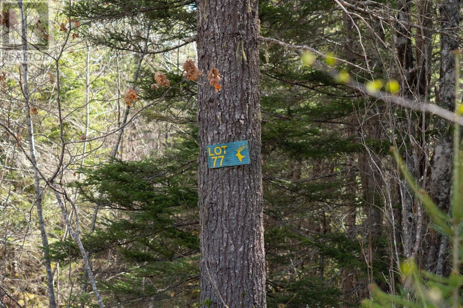 












Lot 77 Waterloo Avenue

,
Waterloo Lake,







Nova Scotia
B0S1P0

