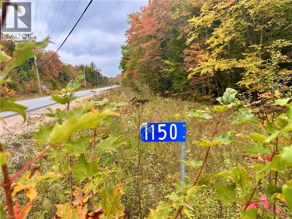 












1150 LIMBERLOST Road

,
Lake Of Bays,







Ontario
P1H2J6

