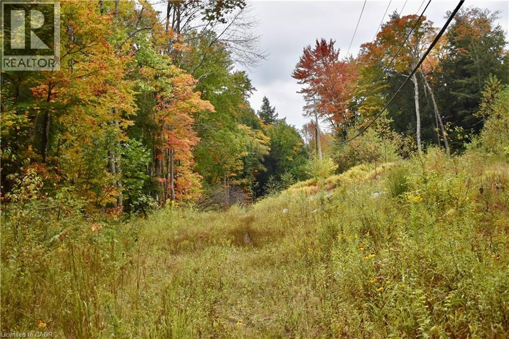 












1150 LIMBERLOST Road

,
Lake Of Bays,







Ontario
P1H2J6

