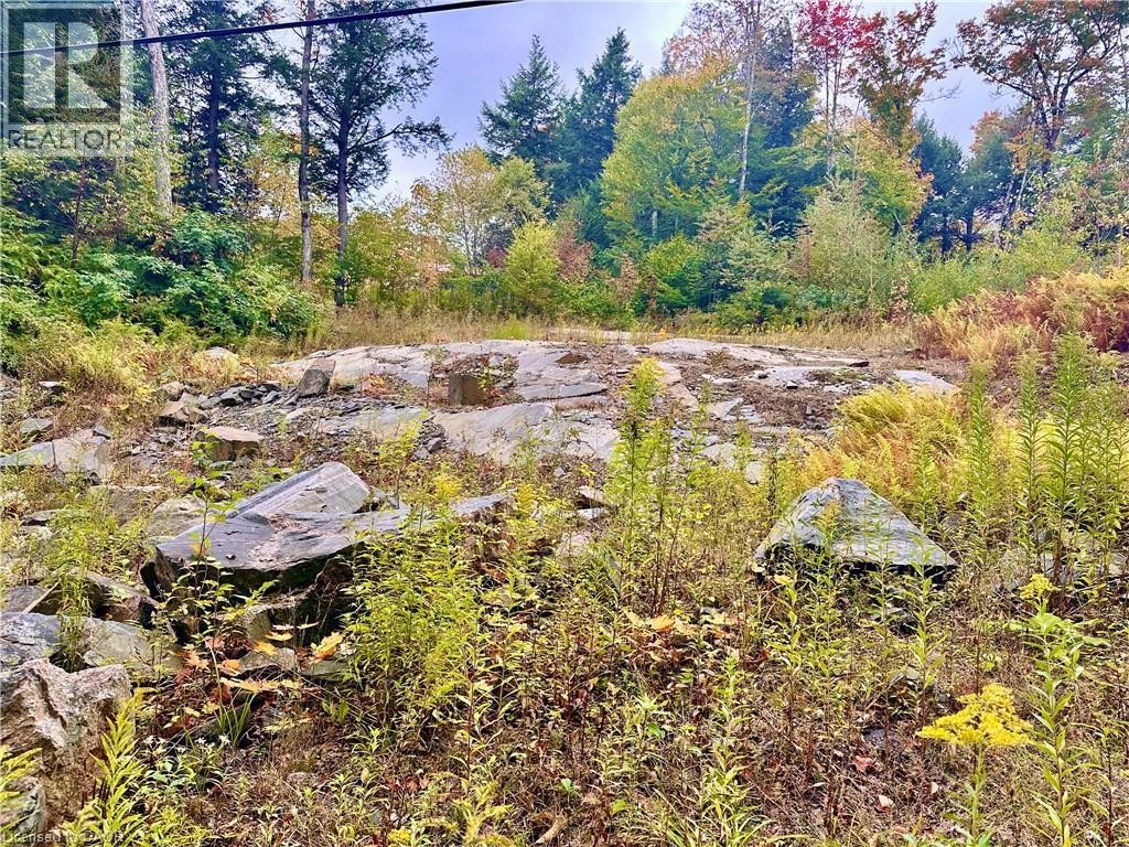 












1150 LIMBERLOST Road

,
Lake Of Bays,







Ontario
P1H2J6

