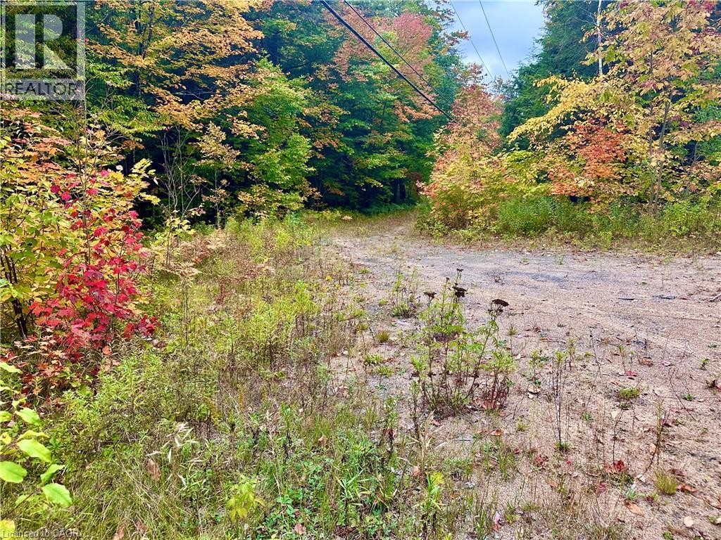 












1150 LIMBERLOST Road

,
Lake Of Bays,







Ontario
P1H2J6

