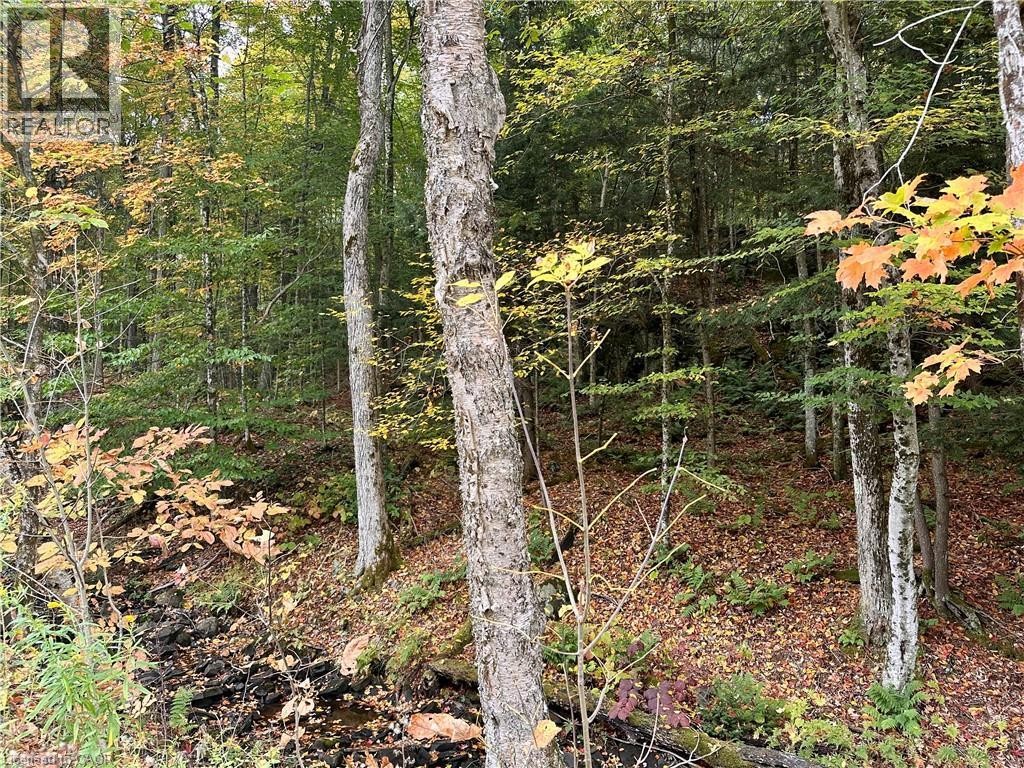 












1150 LIMBERLOST Road

,
Lake Of Bays,







Ontario
P1H2J6

