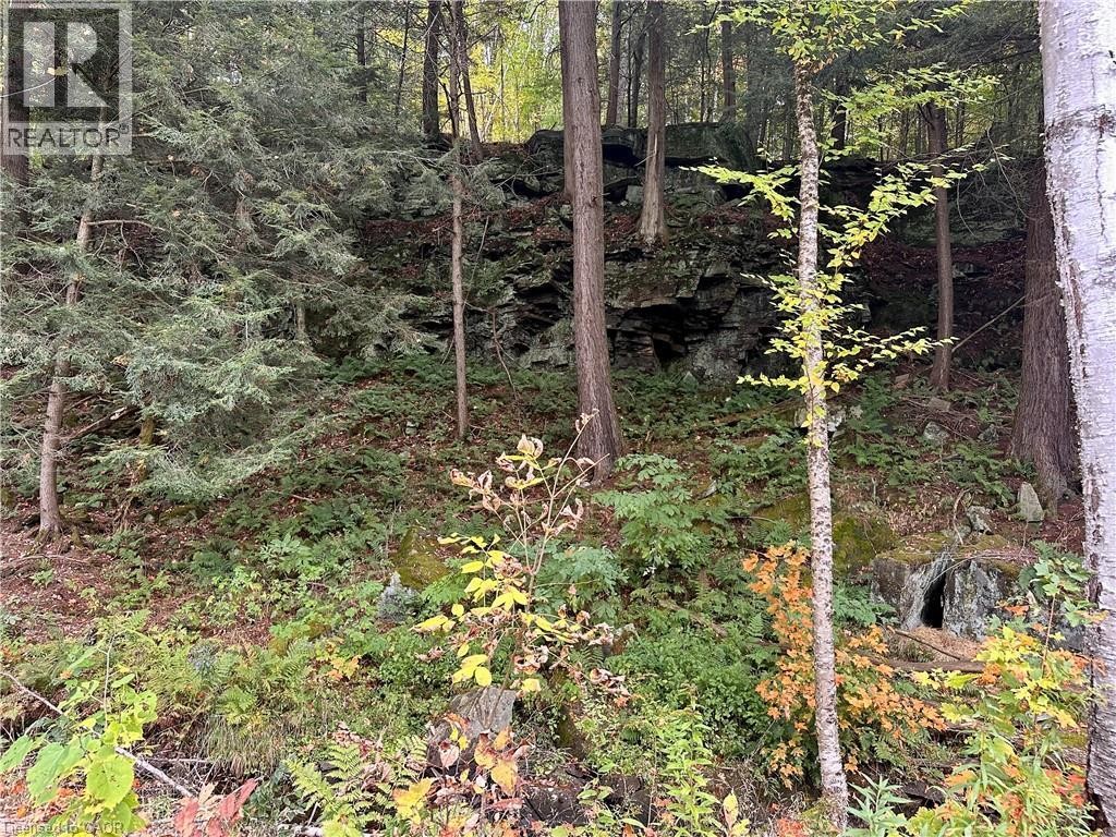 












1150 LIMBERLOST Road

,
Lake Of Bays,







Ontario
P1H2J6

