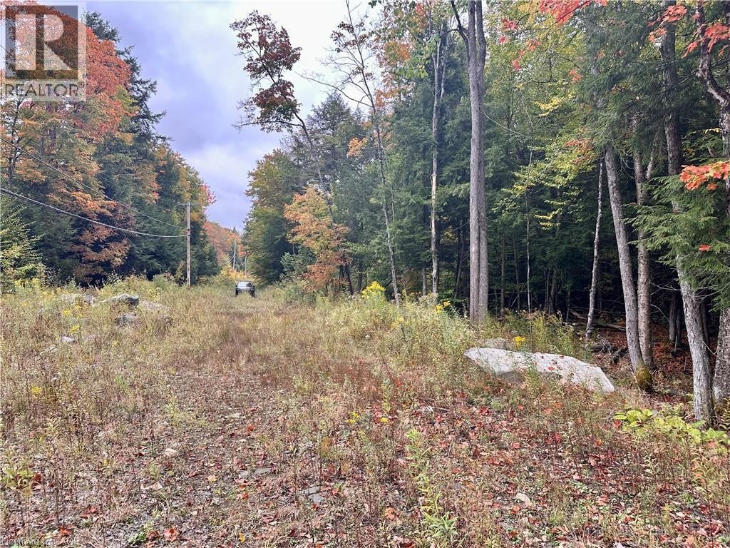 












1150 LIMBERLOST Road

,
Lake Of Bays,







Ontario
P1H2J6

