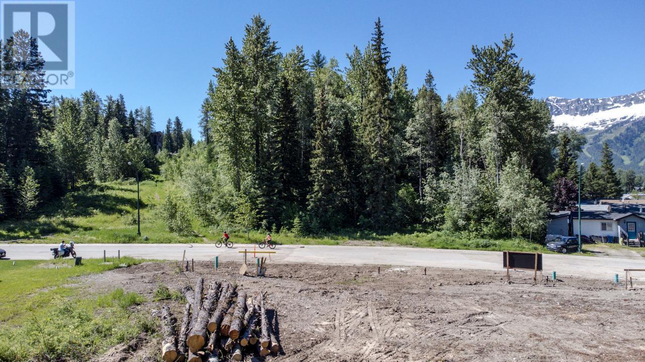












111 WHITETAIL Drive

,
Fernie,







British Columbia
V0B1M1

