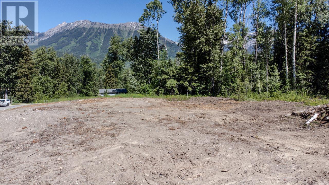 












111 WHITETAIL Drive

,
Fernie,







British Columbia
V0B1M1

