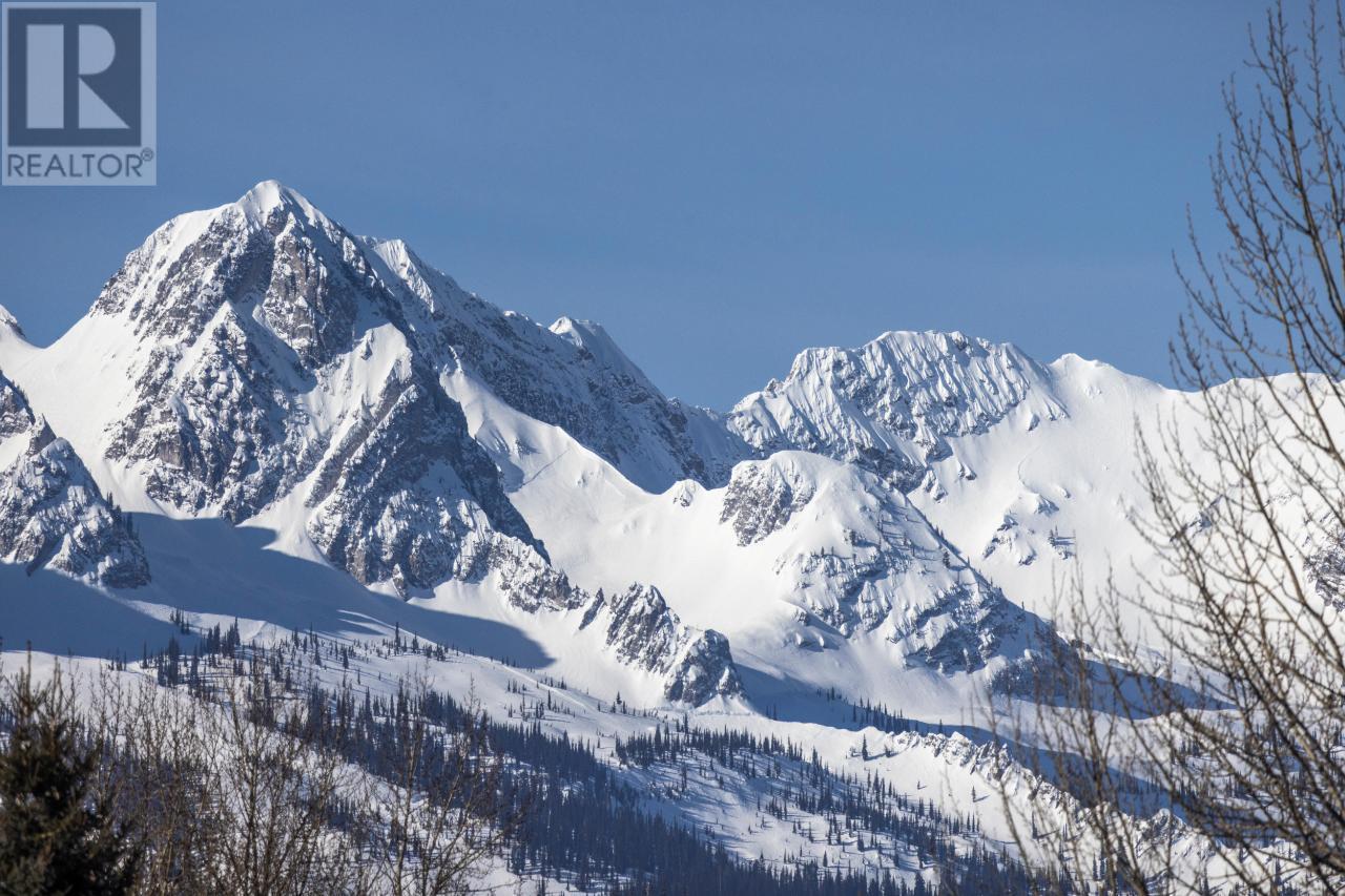 












111 WHITETAIL Drive

,
Fernie,







British Columbia
V0B1M1

