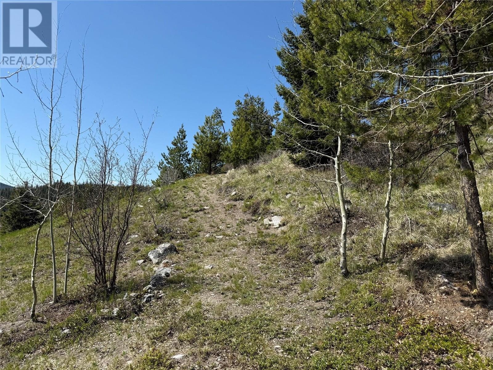 












4158 PRINCETON SUMMERLAND Road

,
Princeton,




British Columbia
V0X1W0

