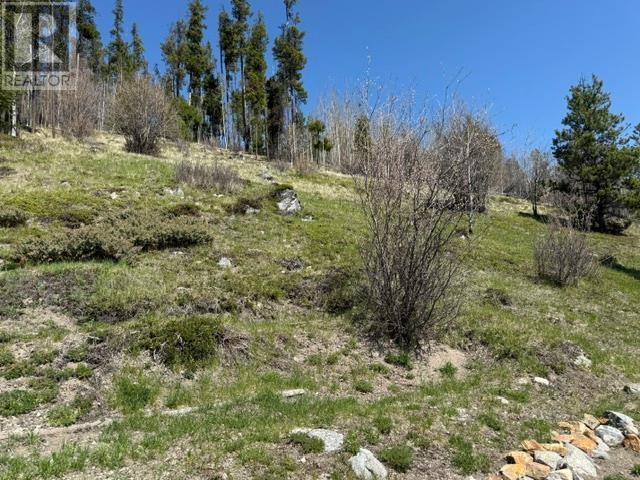 












4158 PRINCETON SUMMERLAND Road

,
Princeton,




British Columbia
V0X1W0

