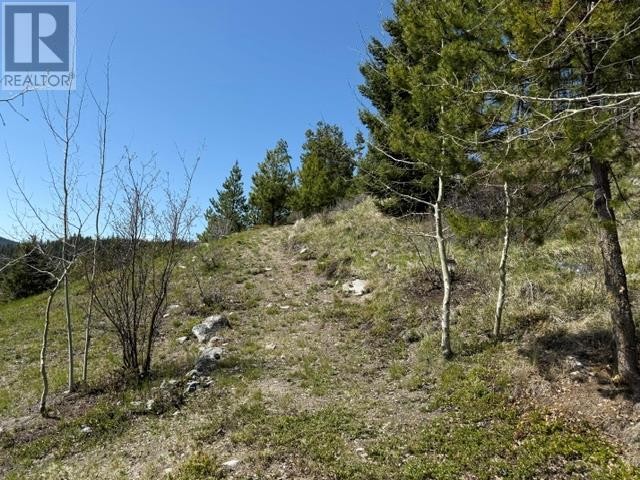 












4158 PRINCETON SUMMERLAND Road

,
Princeton,




British Columbia
V0X1W0

