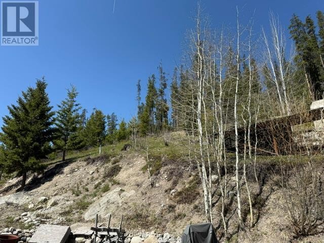 












4158 PRINCETON SUMMERLAND Road

,
Princeton,




British Columbia
V0X1W0

