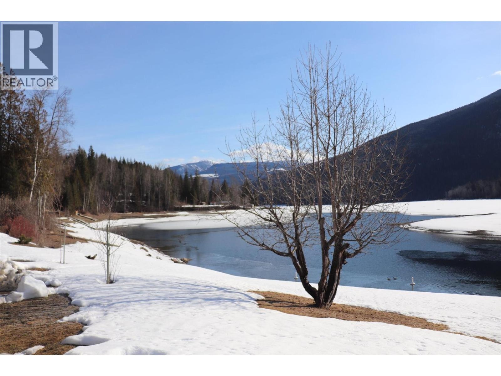 












1681 Sugar Lake Road Unit# 60

,
Cherryville,







British Columbia
V0E2G2

