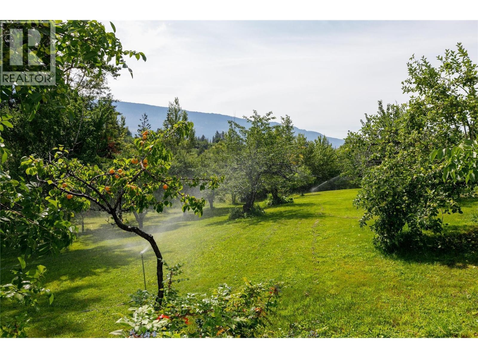 












16821 Owl's Nest Road

,
Oyama,




British Columbia
V4V2E9

