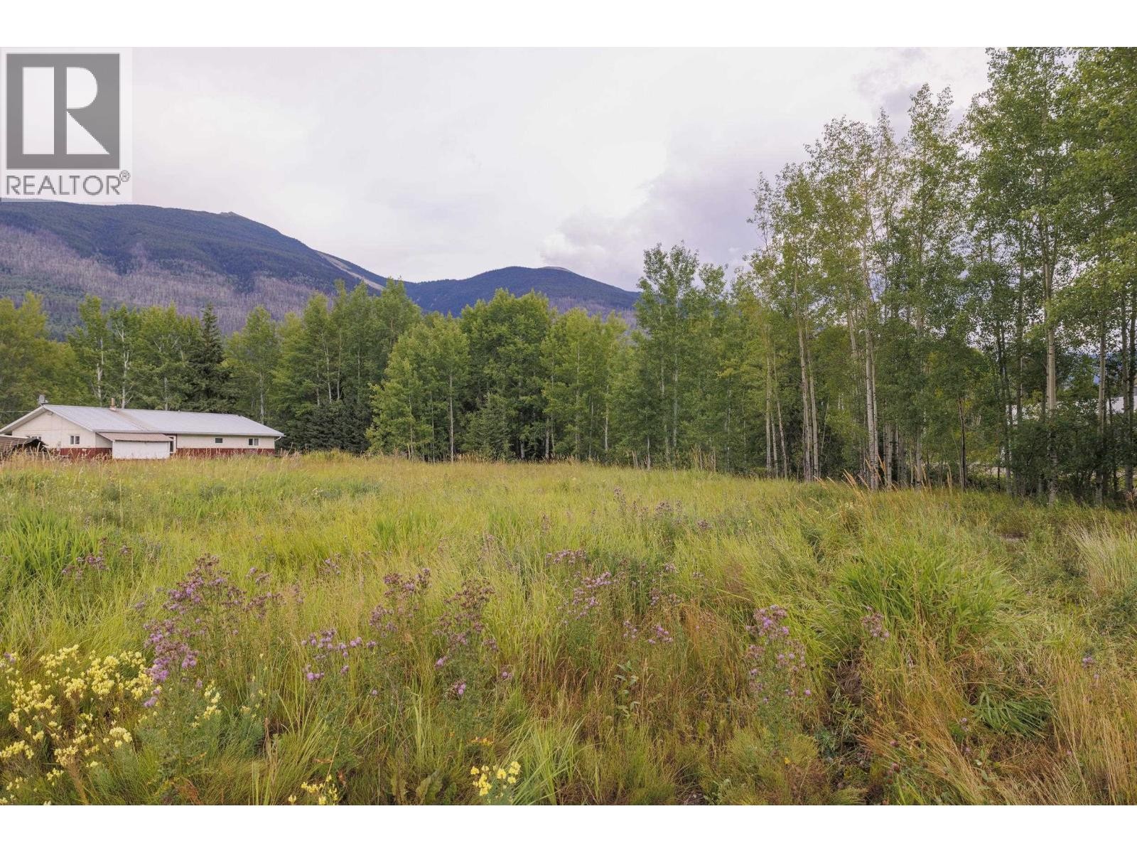 












790 AIRPORT ROAD

,
McBride,







British Columbia
V0J2E0

