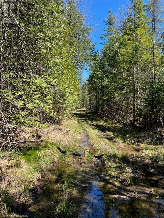 












LOT 32 CON 3 HIGHWAY 6

,
South Bruce Peninsula,







Ontario
N0H2T0

