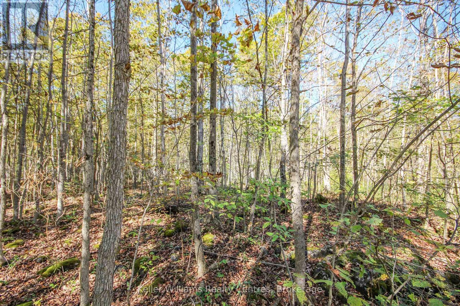 












1019 BRUCE ROAD 9

,
South Bruce Peninsula,




Ontario
N0H2T0

