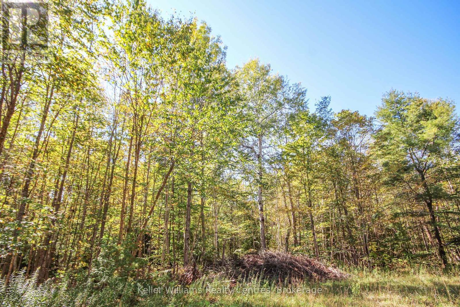 












1019 BRUCE ROAD 9

,
South Bruce Peninsula,




Ontario
N0H2T0

