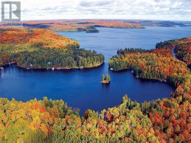 












1020 BIRCH GLEN ROAD

,
Lake of Bays (Mclean),




Ontario
P0B1A0

