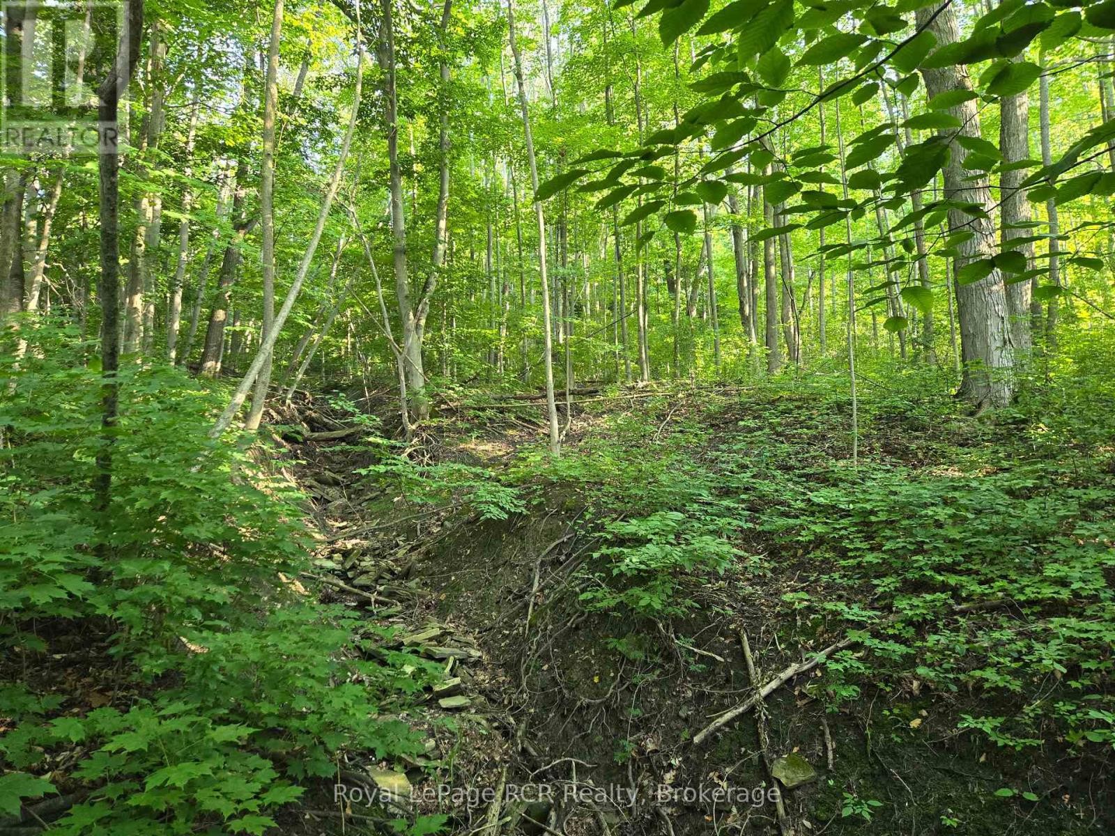 












130 OLD HIGHWAY 26 HIGHWAY

,
Meaford,







Ontario
N4L1W7


