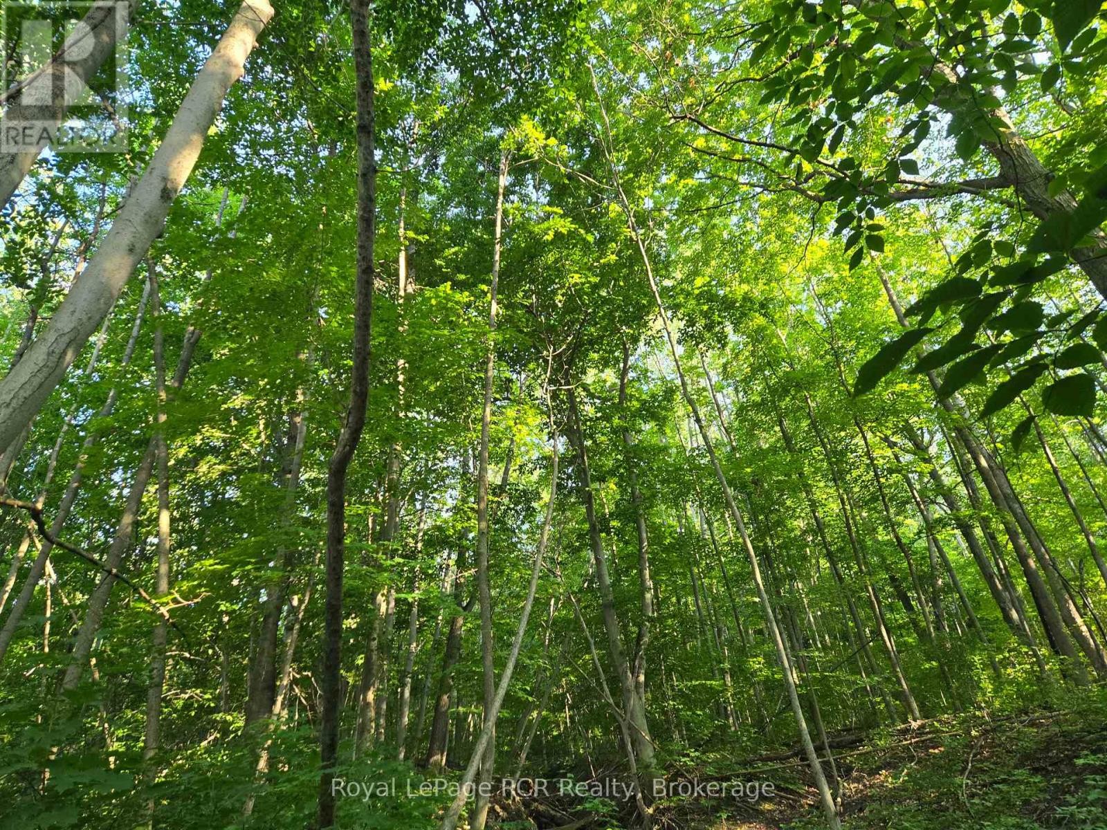 












130 OLD HIGHWAY 26 HIGHWAY

,
Meaford,







Ontario
N4L1W7

