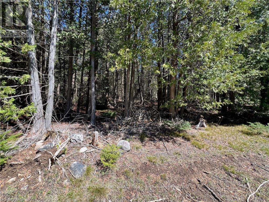 












LOT 32 CON 3 HIGHWAY 6

,
South Bruce Peninsula,







Ontario
N0H2T0

