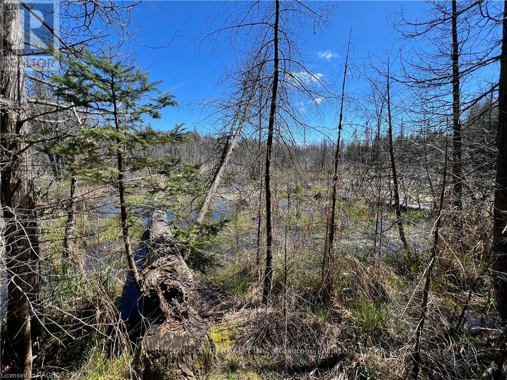 












LOT 32 CON 3 HIGHWAY 6

,
South Bruce Peninsula,







Ontario
N0H2T0

