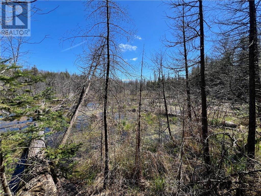 












LOT 32 CON 3 HIGHWAY 6

,
South Bruce Peninsula,







Ontario
N0H2T0

