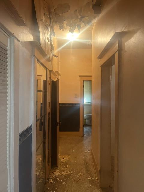 












442 McGregor Street

,
Winnipeg,




Manitoba
R2W4X8

