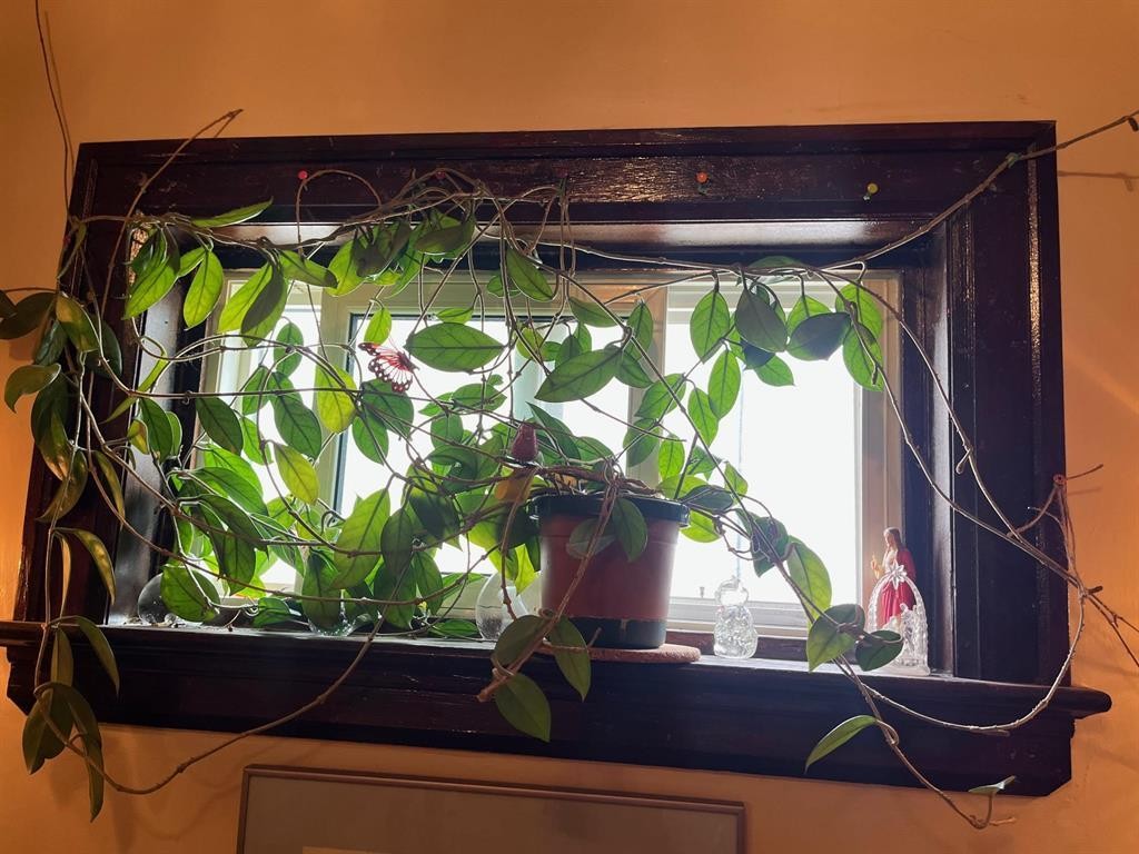 












366 Salter Street

,
Winnipeg,




Manitoba
R2W4L4

