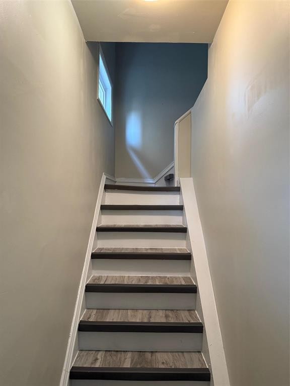 












556 College Avenue

,
Winnipeg,




Manitoba
R2W1M9

