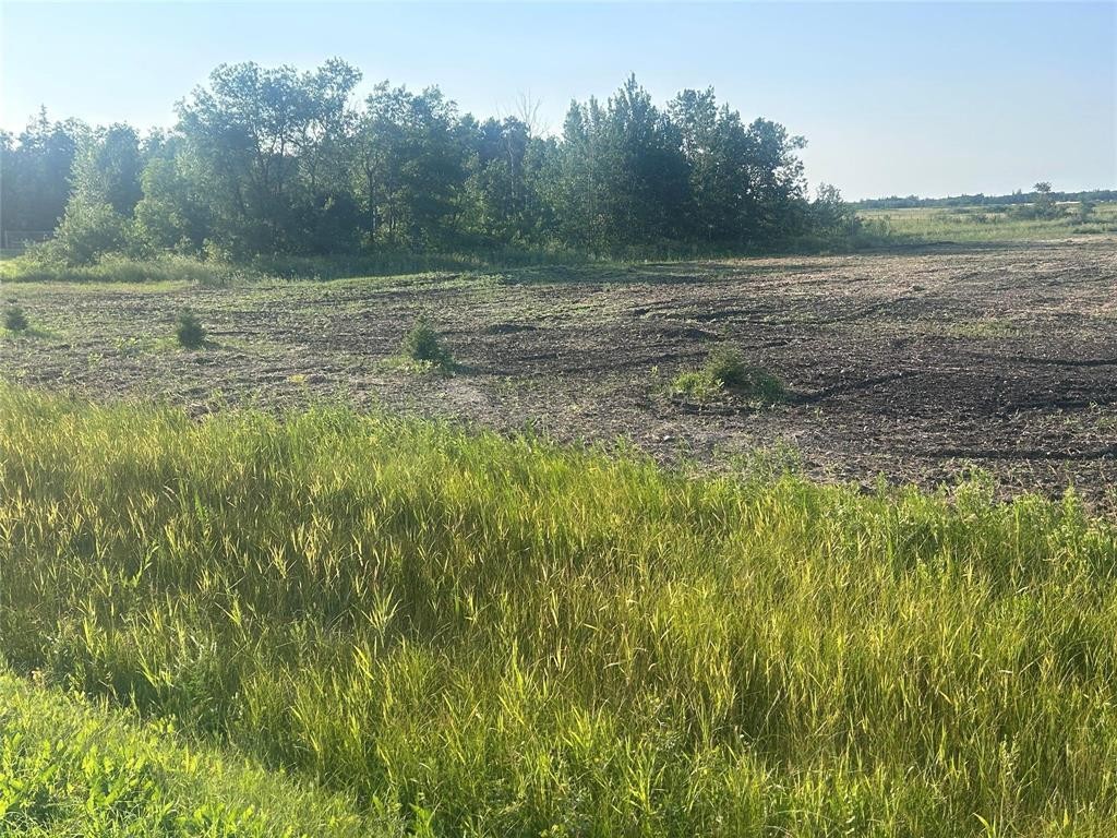












26093 melrose 71 N Road

,
Springfield,







Manitoba
R5M0B9

