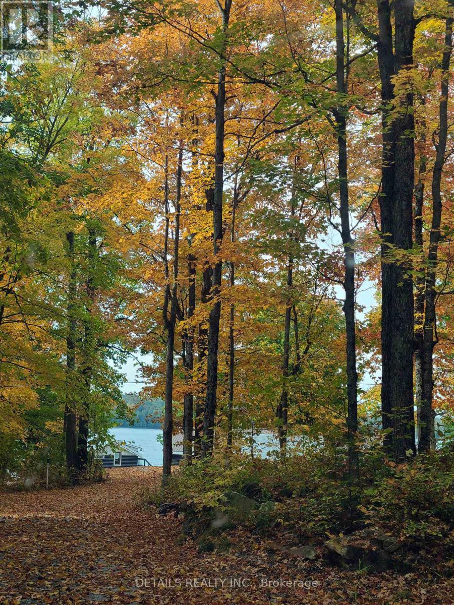 












411 PICKEREL BAY ROAD

,
Lanark Highlands,




Ontario
K0A3L0

