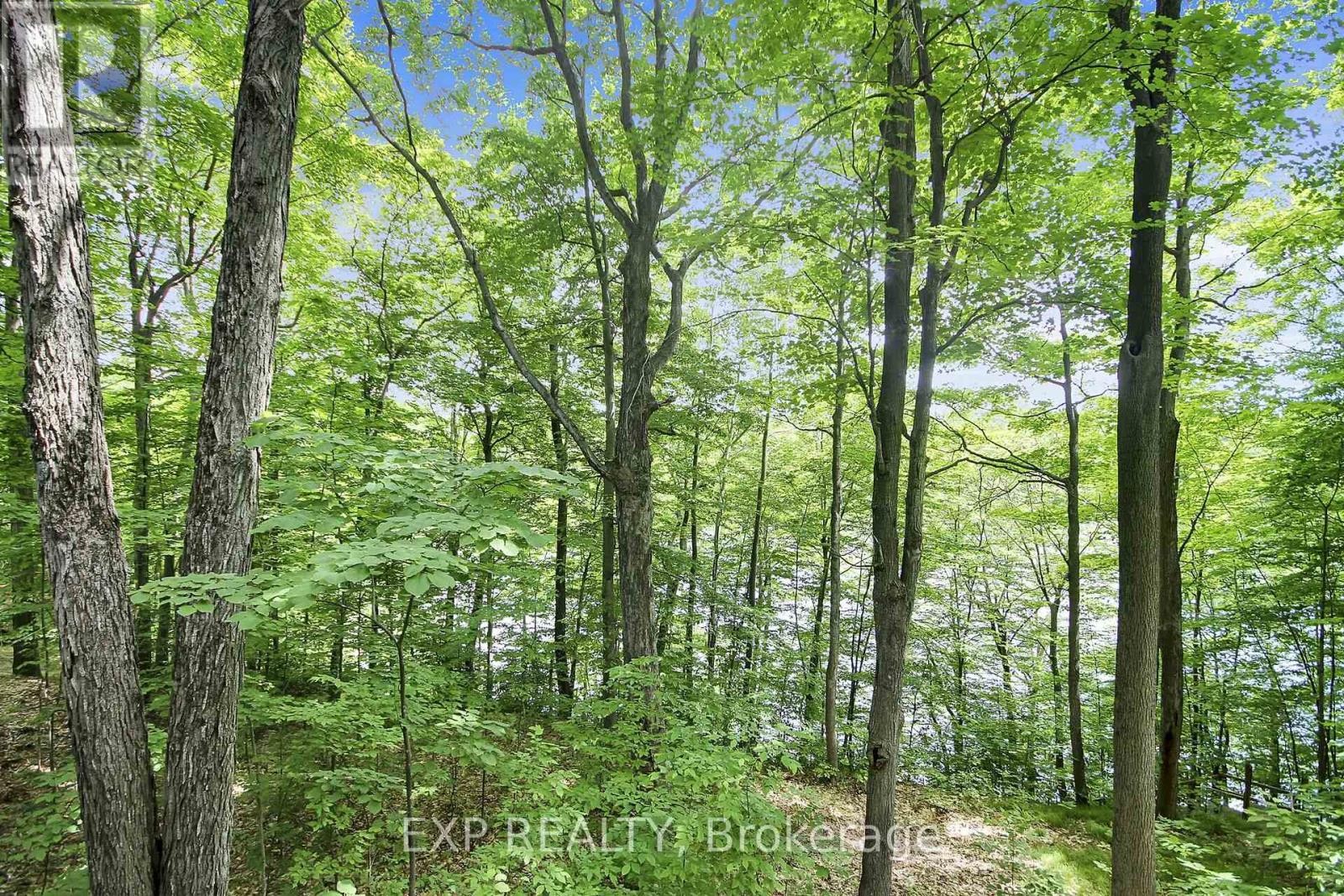 












59 FAIRHAVEN LANE

,
Frontenac (Frontenac South),




Ontario
K0H2B0

