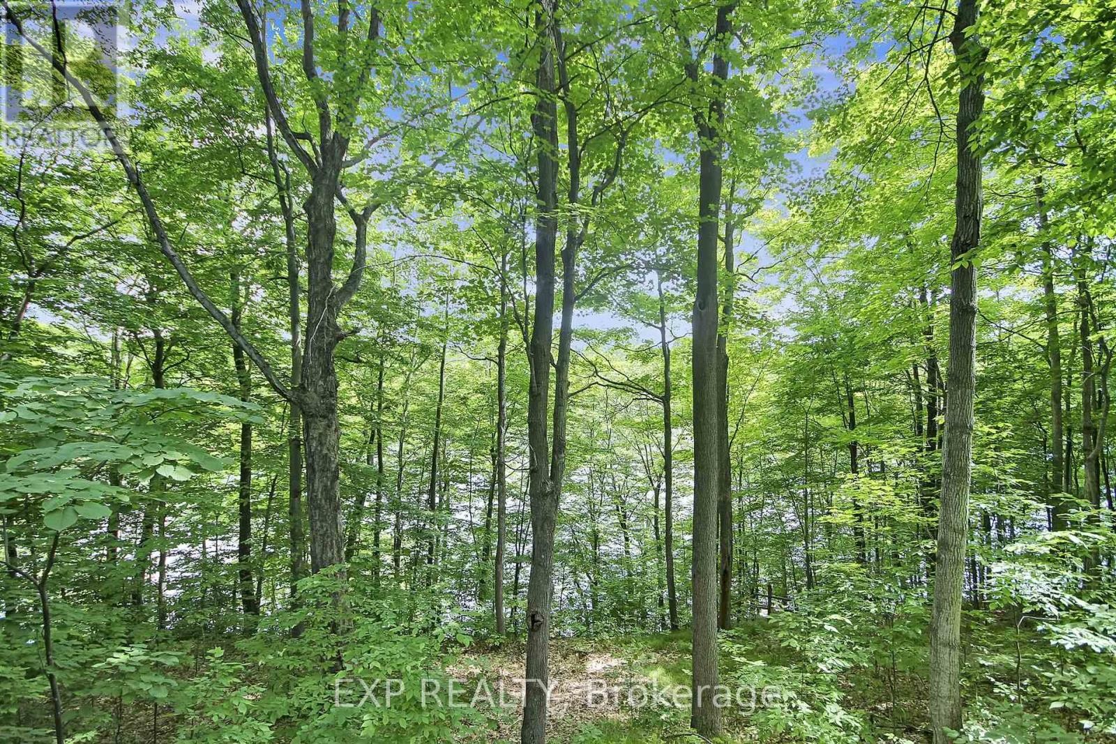 












59 FAIRHAVEN LANE

,
Frontenac (Frontenac South),




Ontario
K0H2B0

