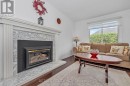 Den Gas Fireplace