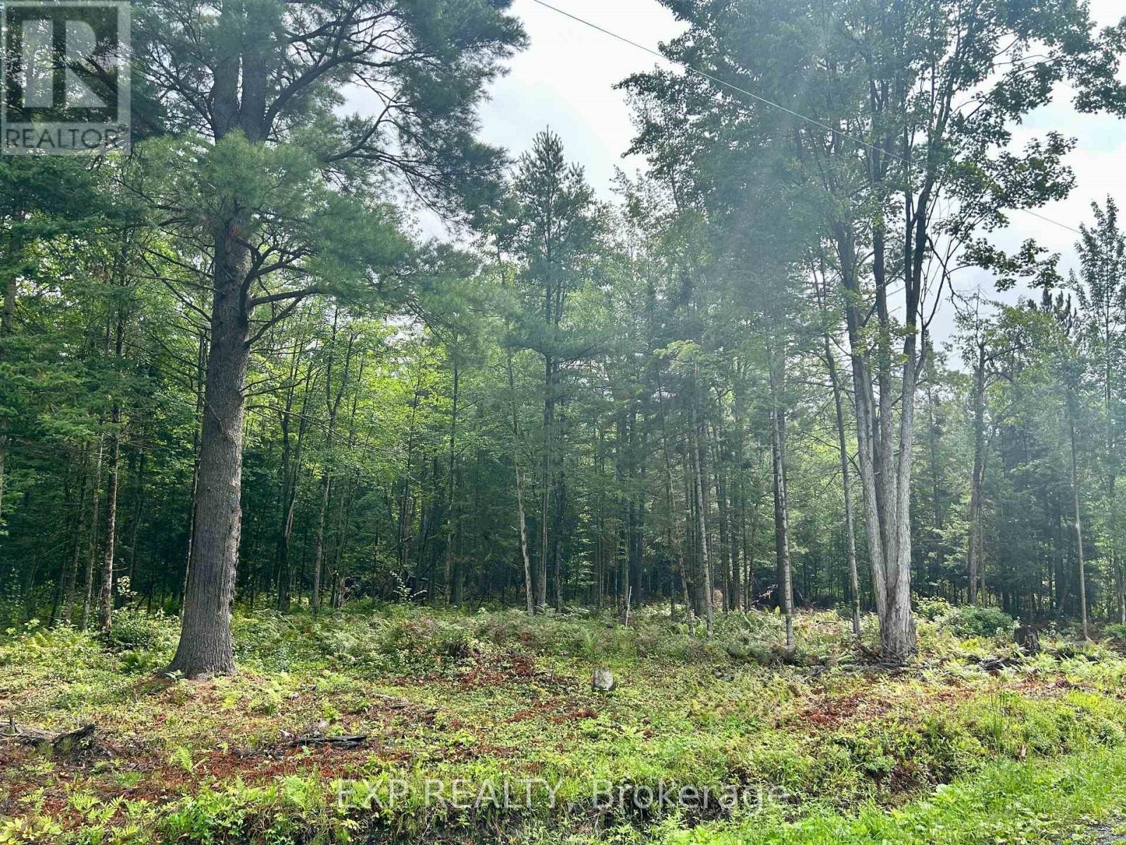 












0 14 ROUTE

,
Alfred and Plantagenet,







Ontario
K0B1L0

