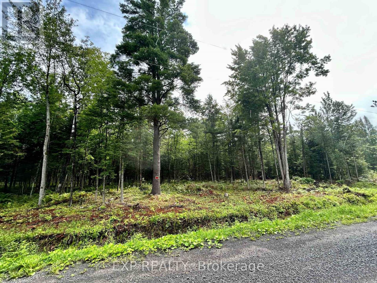 












0 14 ROUTE

,
Alfred and Plantagenet,







Ontario
K0B1L0

