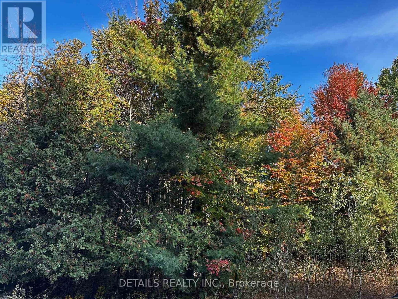 












515 VANCES SIDE ROAD N

,
Ottawa,







Ontario
K0A1T0

