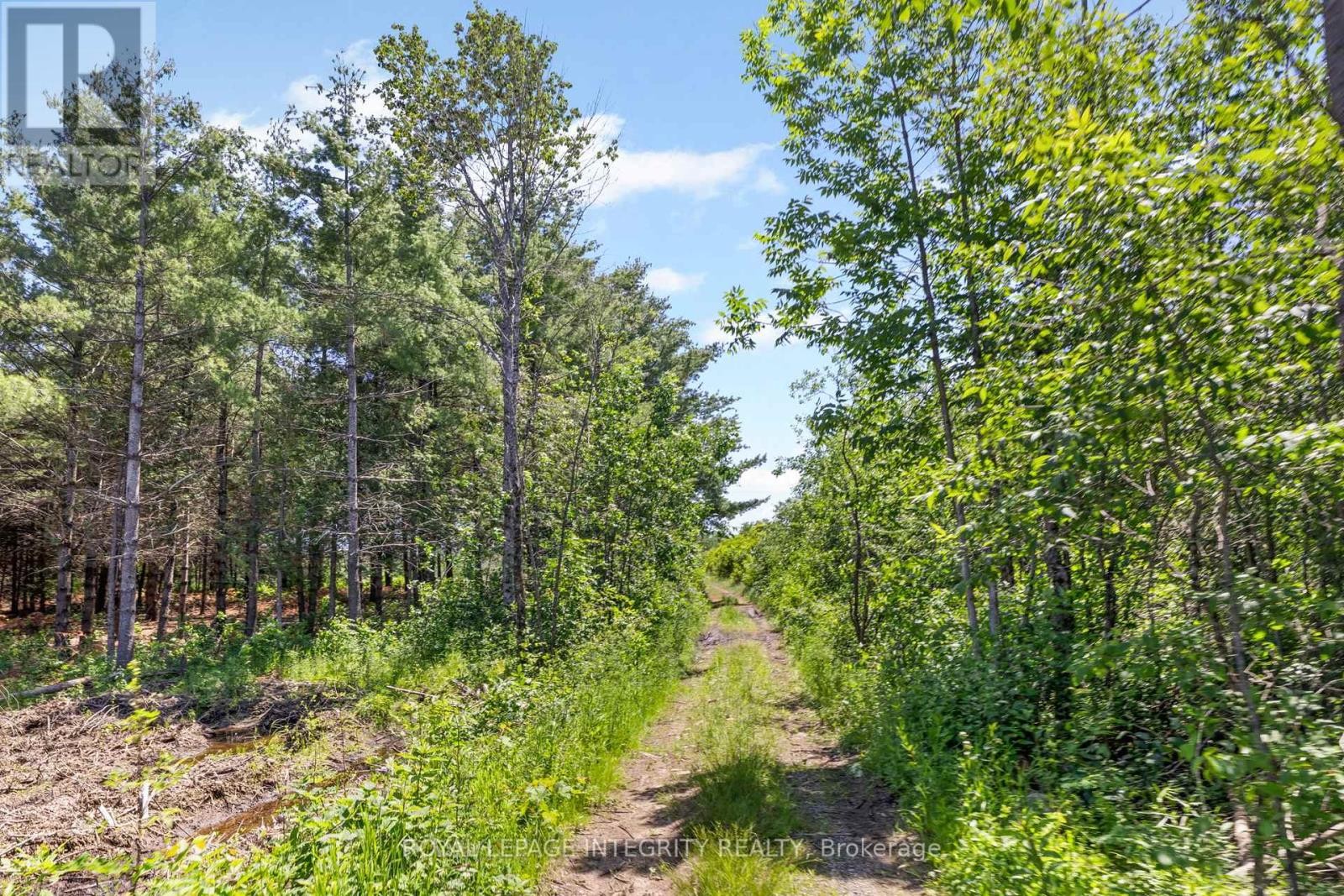 












4228 O'NEIL ROAD

,
Ottawa,




Ontario
K0A1B0


