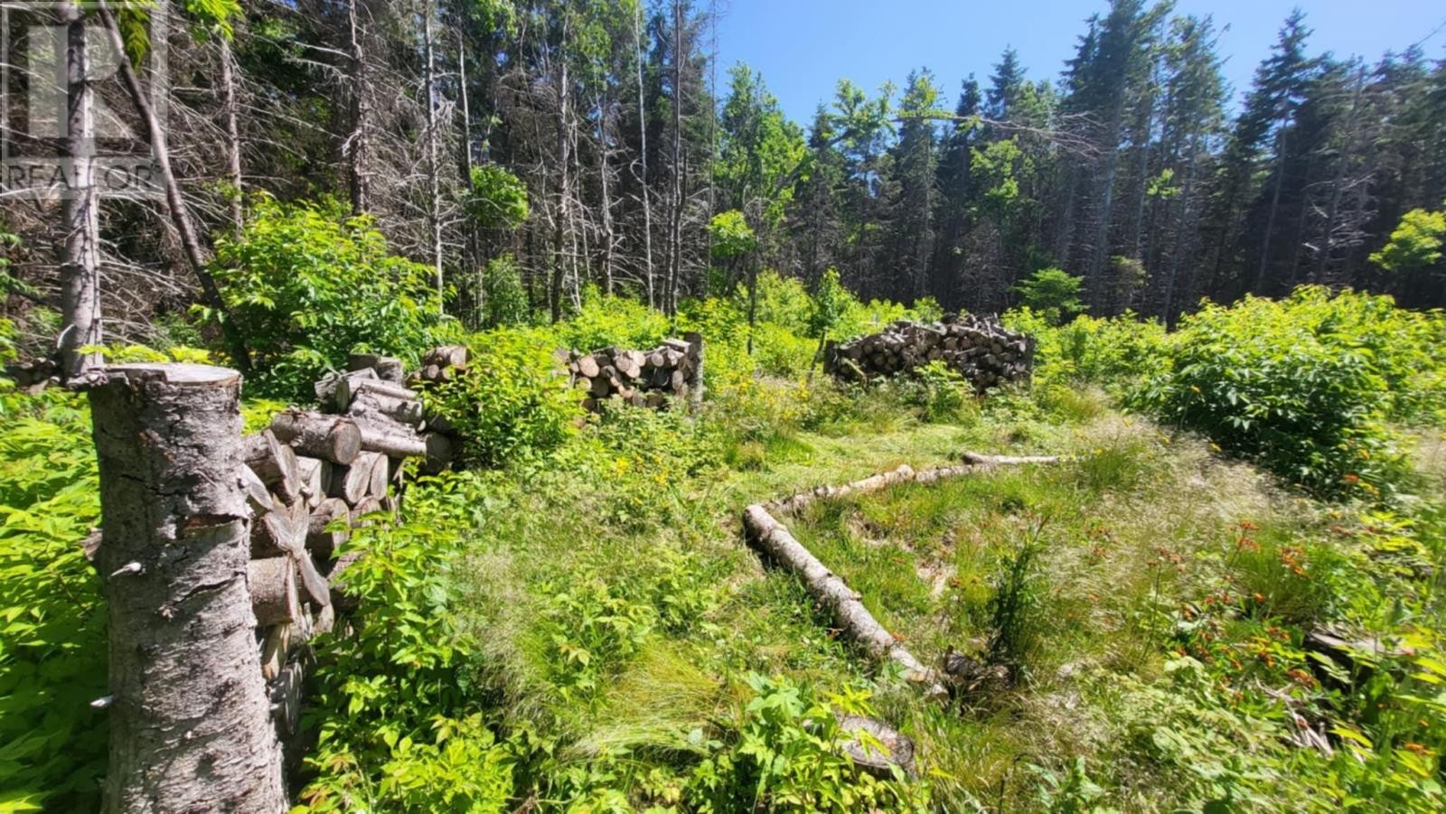 












10 Swallow Point Road

,
Goose River,







Prince Edward Island
C0A2A0

