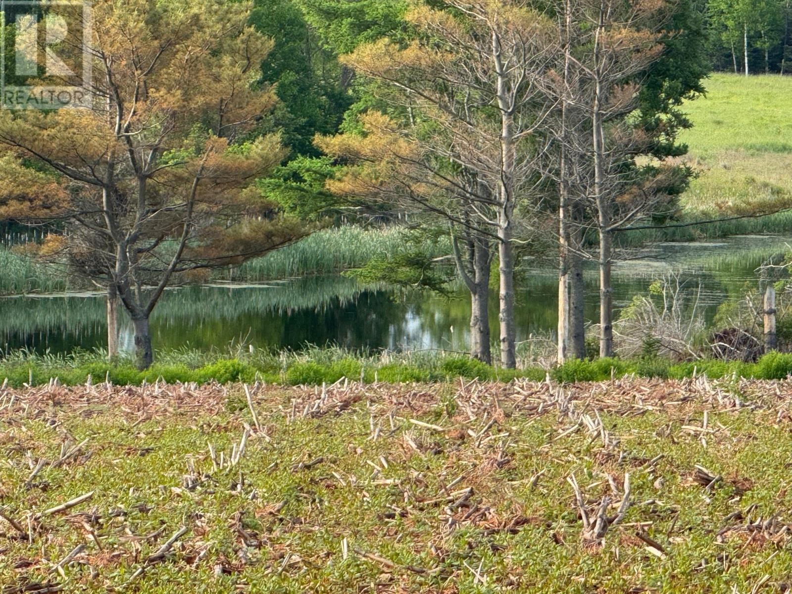 












0 Point Prim Road

,
Belfast,







Prince Edward Island
C0A1A0

