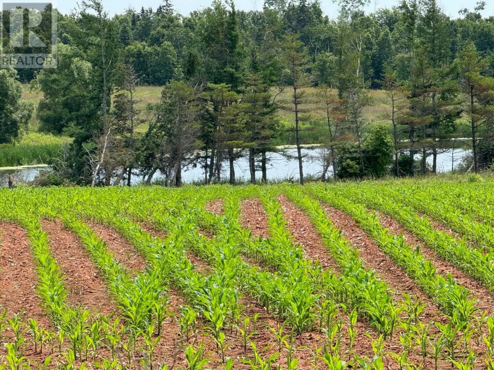 












0 Point Prim Road

,
Belfast,







Prince Edward Island
C0A1A0

