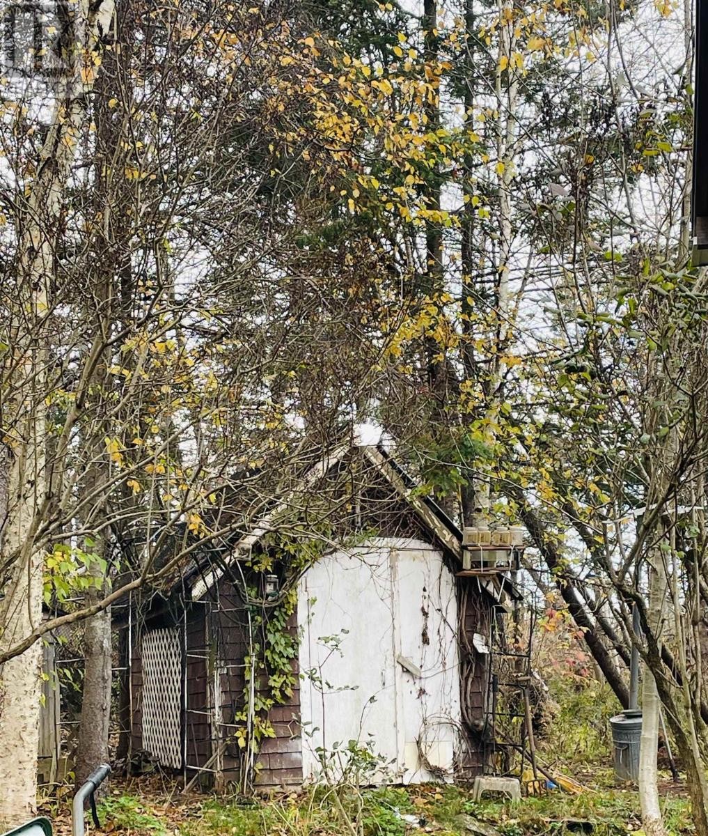 












19541 Rte 2 Highway

,
Greenvale,




Prince Edward Island
C0A1N0

