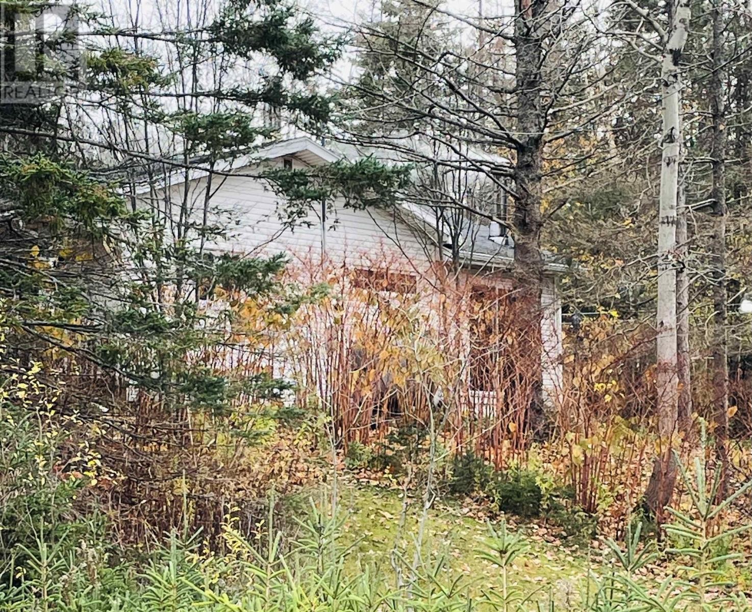 












19541 Rte 2 Highway

,
Greenvale,




Prince Edward Island
C0A1N0

