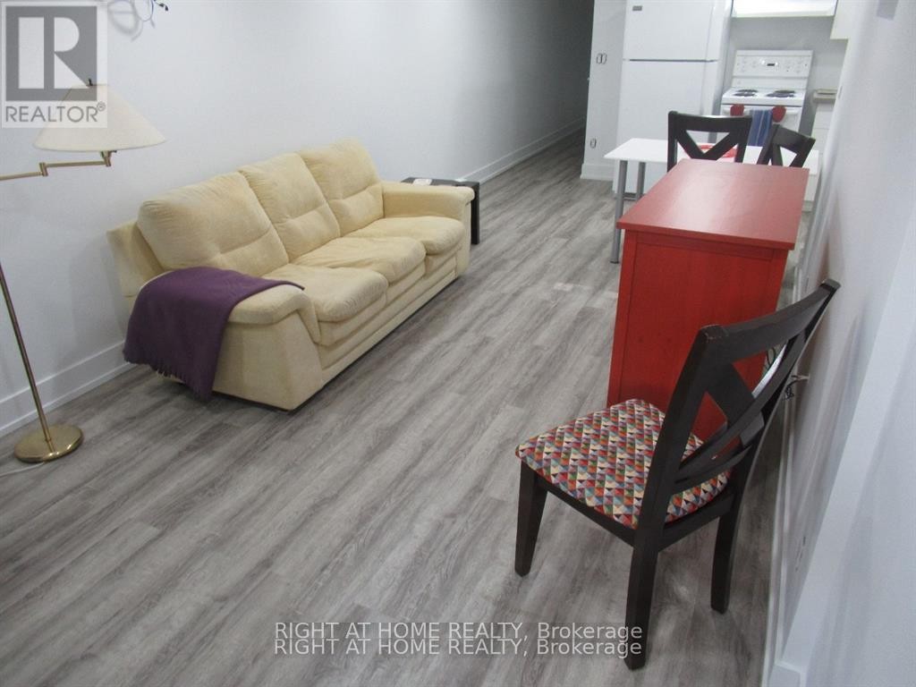












LOWER - 272 ROXTON ROAD

,
Toronto (Palmerston-Little Italy),




Ontario
M6G3P9

