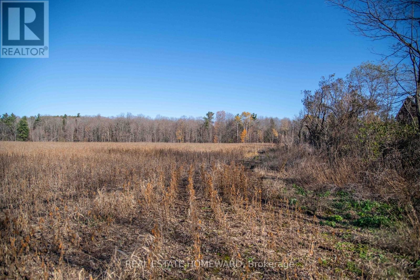 












7257 SOPER ROAD

,
Clarington,




Ontario
L0A1E0

