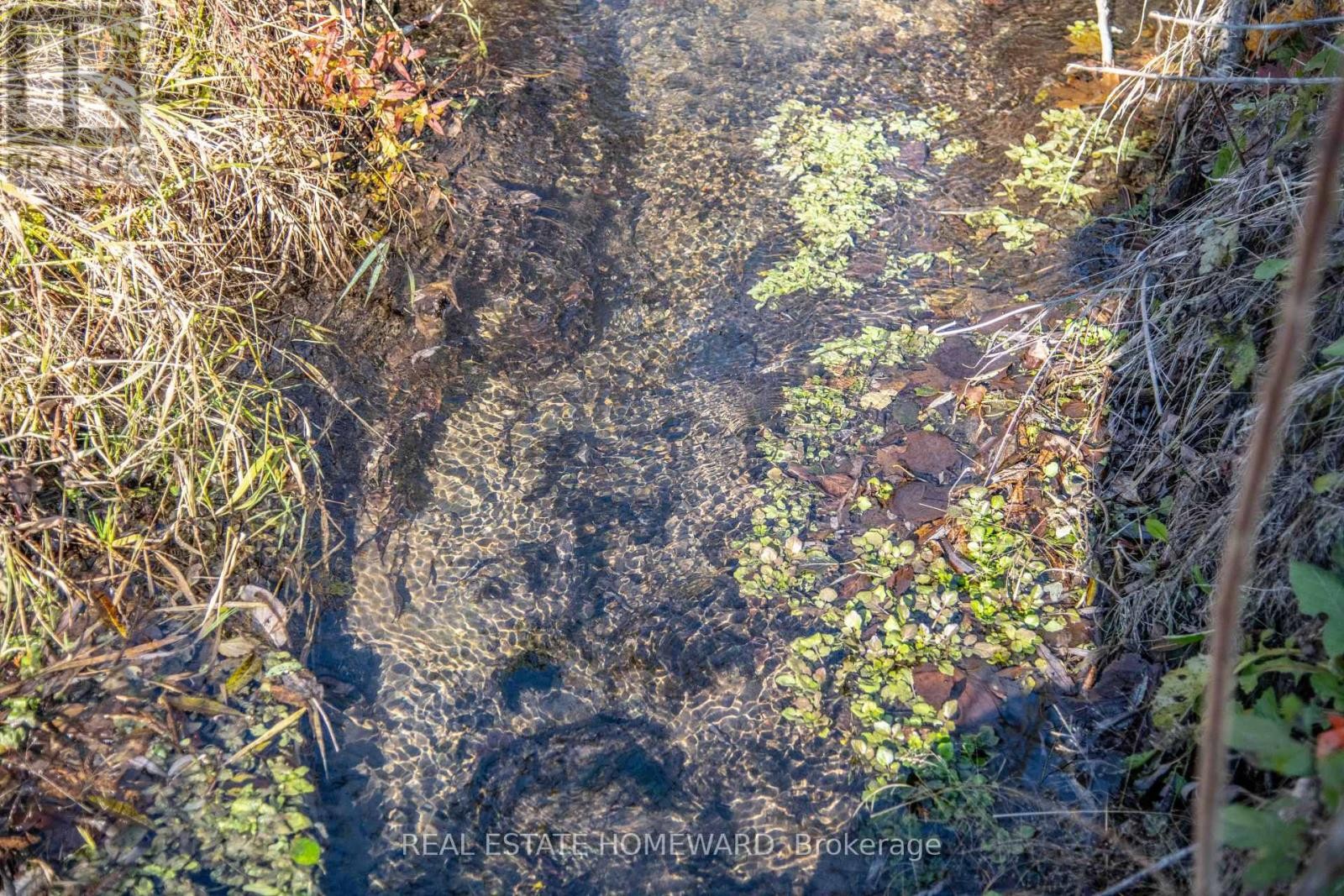 












7257 SOPER ROAD

,
Clarington,




Ontario
L0A1E0

